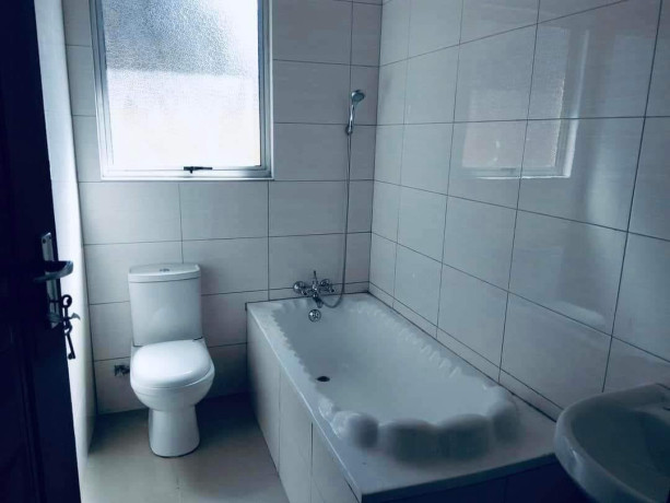 2-bedroom-house-for-rent-in-avondale-big-4