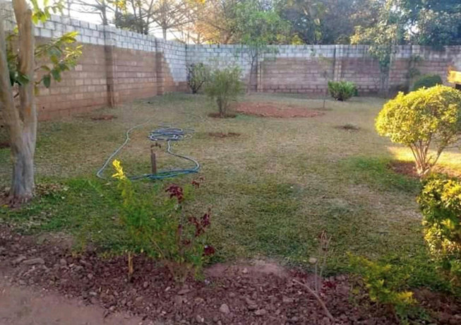 1-bedroom-flat-for-rent-in-avondale-big-0