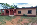 3-bedroom-house-for-rent-in-avondale-small-8