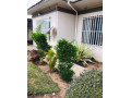 3-bedroom-house-for-rent-in-avondale-small-9