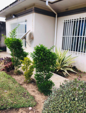 3-bedroom-house-for-rent-in-avondale-big-9