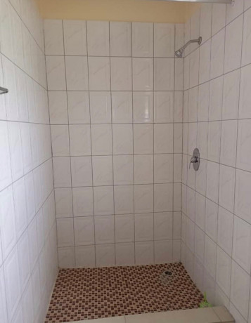 2-bedroom-house-for-rent-in-olympia-big-8