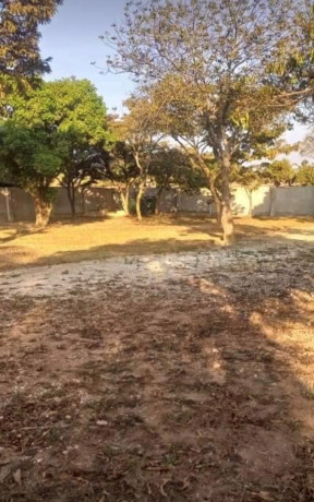 3-bedroom-house-for-rent-in-chudleigh-big-4