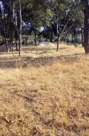 plot-for-sale-in-chudleigh-big-1