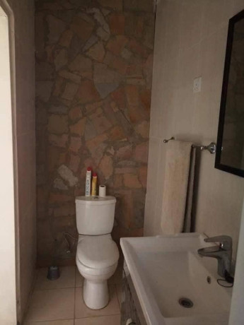 1-bedroom-apartment-for-rent-in-chudleigh-big-9