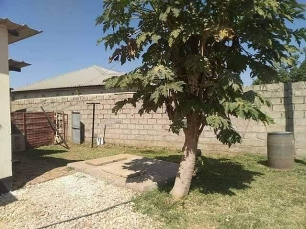 1-bedroom-flat-for-rent-in-nyumba-yanga-big-2