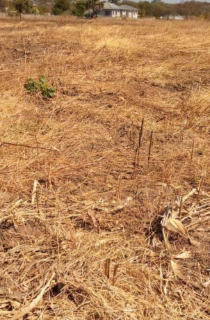 4-bedroom-house-for-sale-in-chilanga-big-3