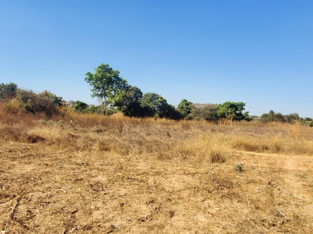 56-acre-plot-for-sale-in-kasupe-big-4