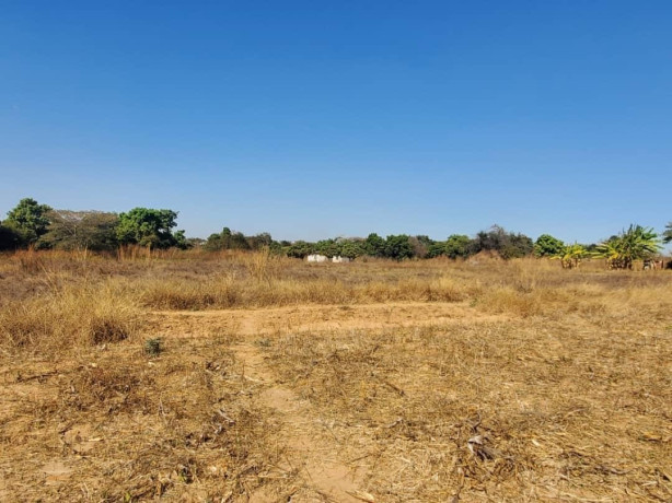 56-acre-plot-for-sale-in-kasupe-big-3