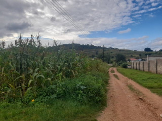 land-for-sale-in-chilanga
