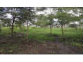 40m-by-37m-plot-for-sale-in-chilanga-small-1