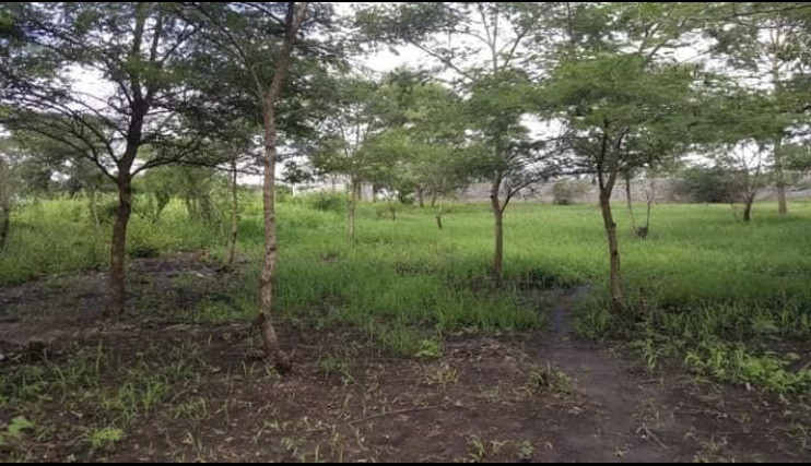 40m-by-37m-plot-for-sale-in-chilanga-big-1