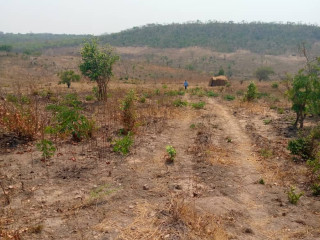 50m-by-50m-plot-for-sale-in-chilanga