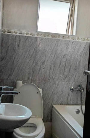 2-bedroom-flat-for-rent-in-roma-park-big-4