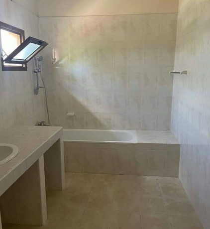 4-bedroom-house-for-rent-in-roma-park-big-6