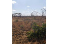 500-hectare-land-for-sale-in-mumbwa-small-2