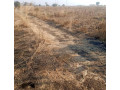 500-hectare-land-for-sale-in-mumbwa-small-0