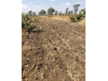 500-hectare-land-for-sale-in-mumbwa-small-3