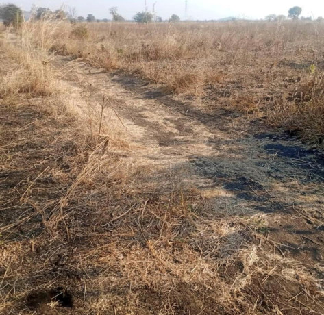 500-hectare-land-for-sale-in-mumbwa-big-0