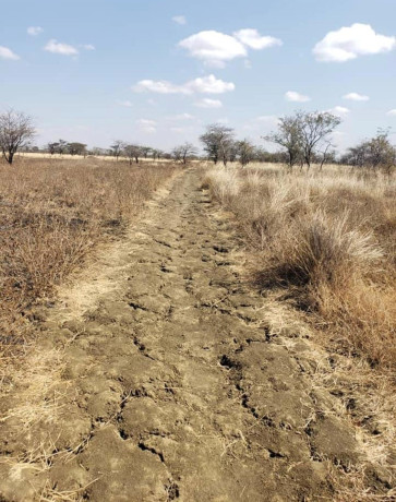 500-hectare-land-for-sale-in-mumbwa-big-1