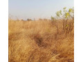 20-hectare-land-for-sale-in-nangoma-small-1