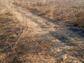 20-hectare-land-for-sale-in-nangoma