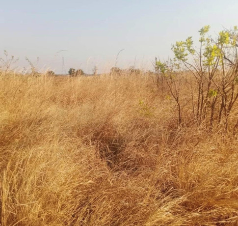 20-hectare-land-for-sale-in-nangoma-big-1