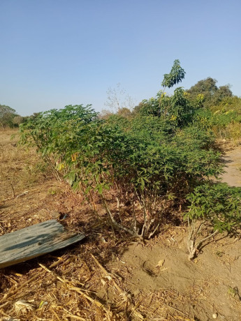 land-for-sale-in-stumbeko-area-big-0