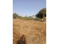 farm-land-for-sale-in-stumbeko-area-small-0
