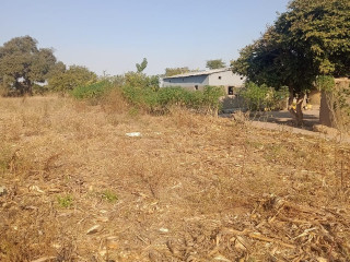 farm-land-for-sale-in-stumbeko-area