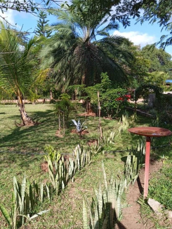 3-bedroom-house-for-sale-in-kafue-big-1