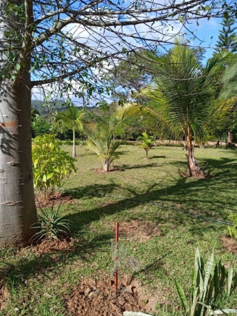 3-bedroom-house-for-sale-in-kafue-big-7