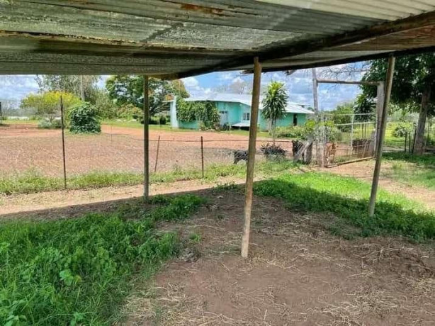 farm-for-sale-in-mazabuka-big-2