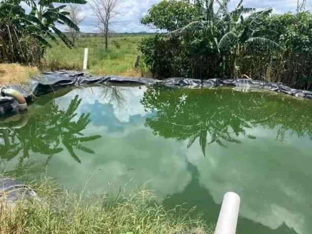 farm-for-sale-in-mazabuka-big-8