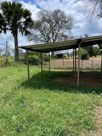farm-for-sale-in-mazabuka-big-1