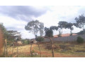 3-acre-plot-for-sale-in-lilayi-small-3