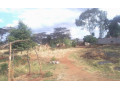 3-acre-plot-for-sale-in-lilayi-small-2