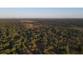210-hectare-land-for-sale-in-mpongwe-small-0