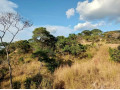 612-acre-plot-for-sale-in-kafue-small-3