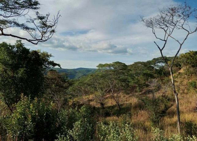 612-acre-plot-for-sale-in-kafue-big-2