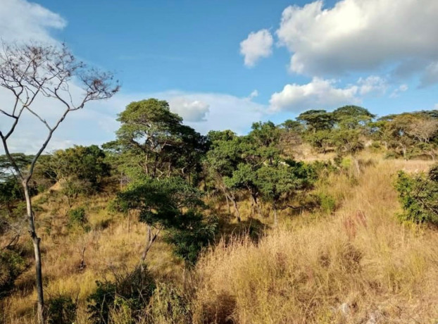 612-acre-plot-for-sale-in-kafue-big-3