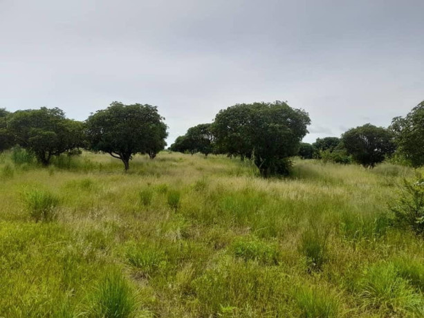 plots-for-sale-in-ngwerere-area-big-0