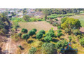 30m-by-40m-plots-for-sale-off-zambezi-rd-ngwerere-small-2