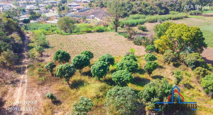 30m-by-40m-plots-for-sale-off-zambezi-rd-ngwerere-big-2