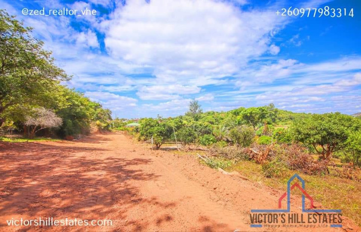 30m-by-40m-plots-for-sale-off-zambezi-rd-ngwerere-big-6