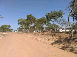 plot-for-sale-in-new-kasama