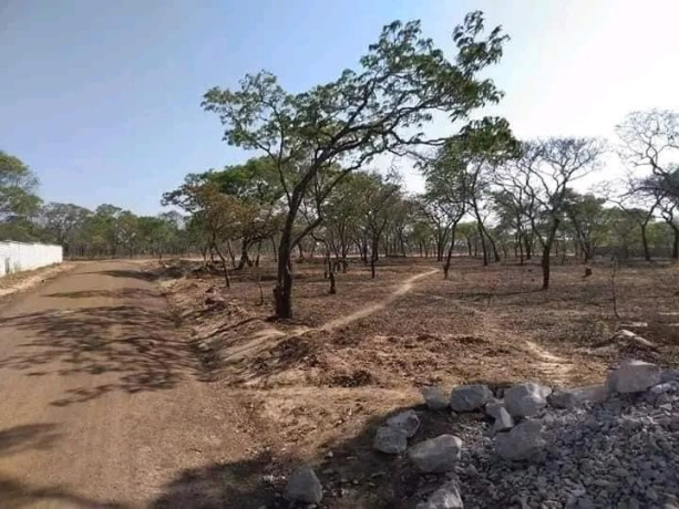 plot-for-sale-in-new-kasama-big-3