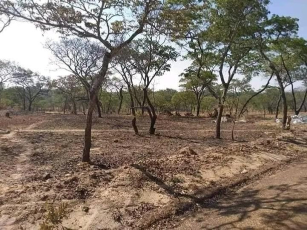 plot-for-sale-in-new-kasama-big-1