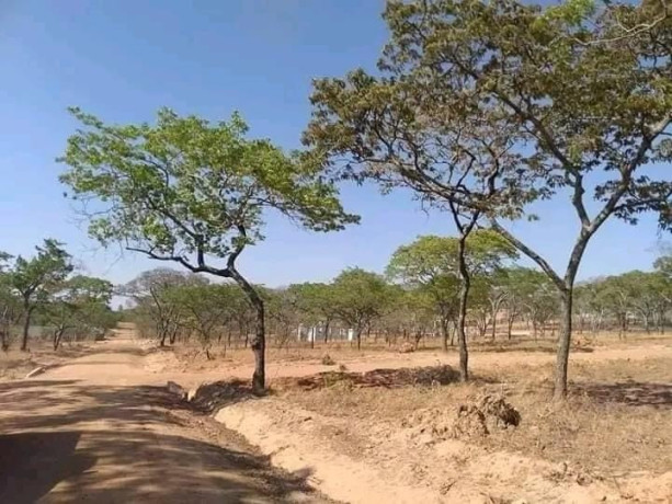 plot-for-sale-in-new-kasama-big-2