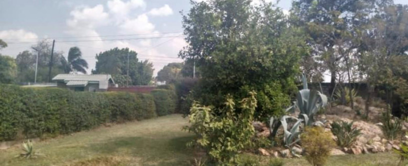 3-bedroom-flats-for-sale-in-ibex-hill-big-6